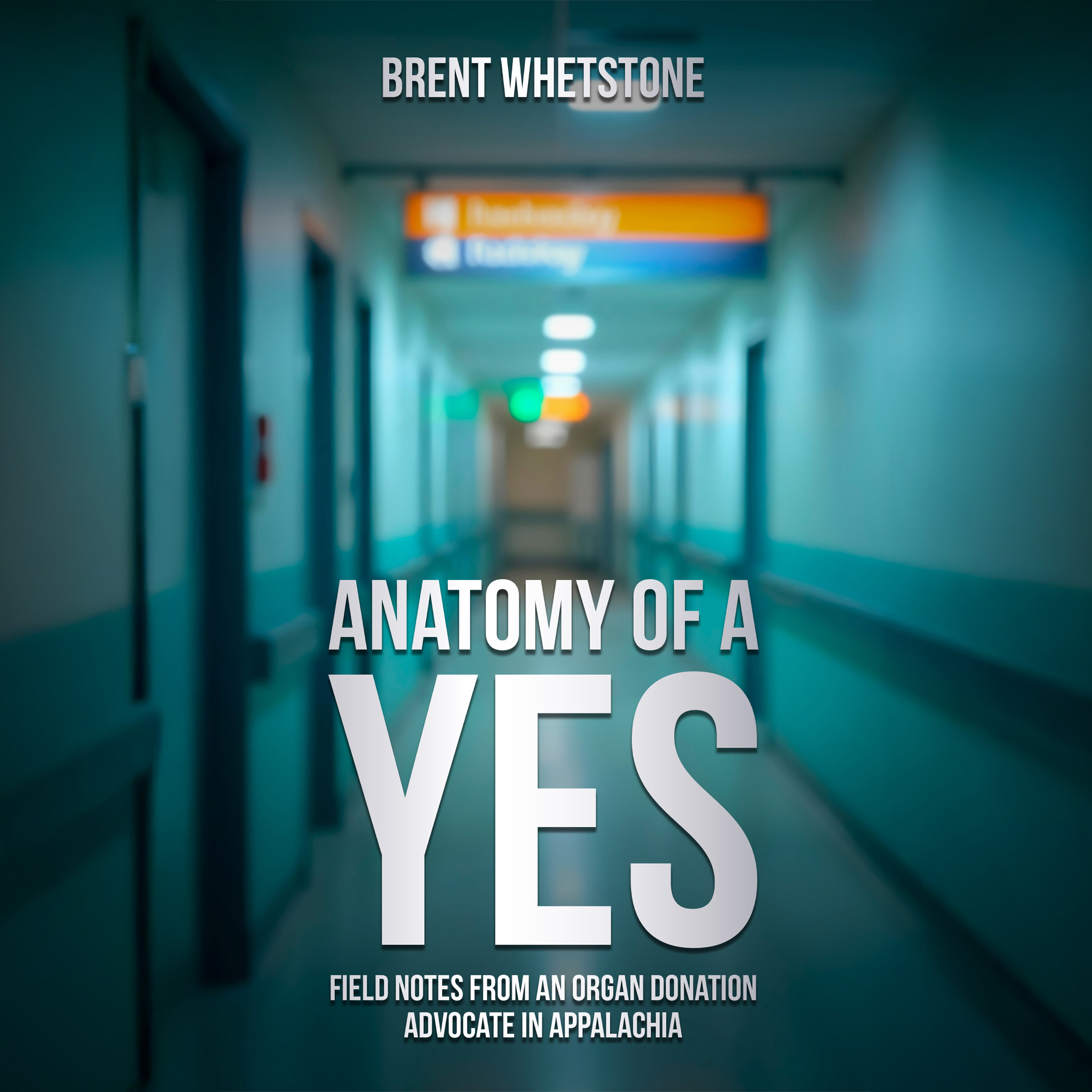 Anatomy of a Yes book cover